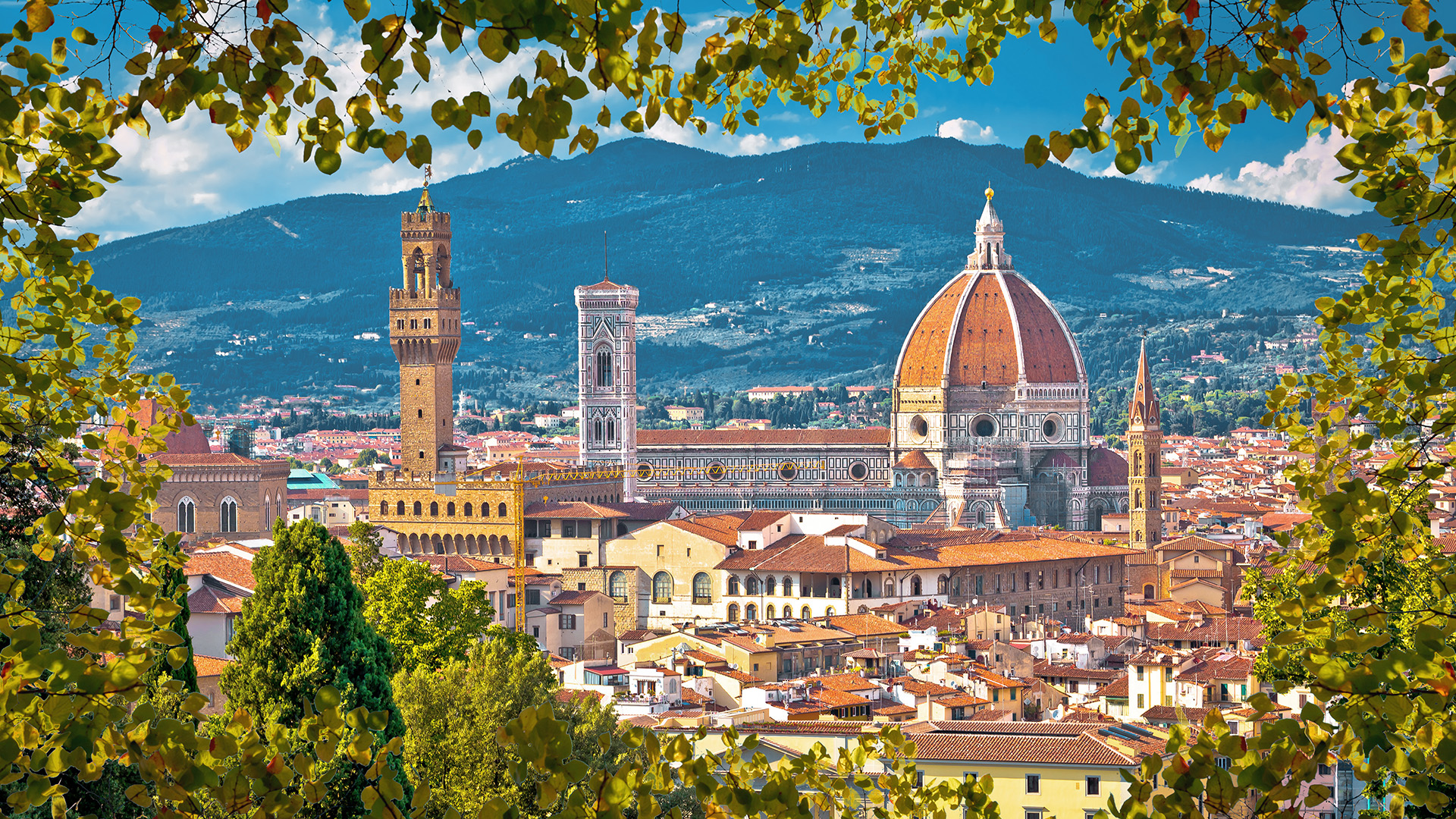 florence02.jpg